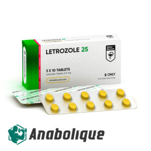 Letrozole (Hilma Biocare) 2.5 mg