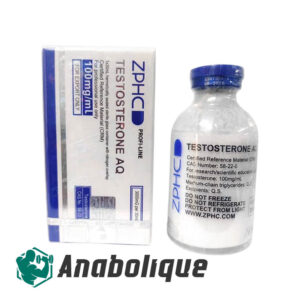 Testosterone AQ (ZPHC) 100 mg/ml 30 ml flacon
