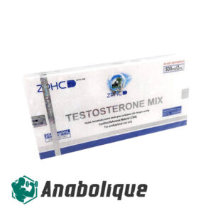 Testosterone Mix (ZPHC) 250 mg/ml 2 ml