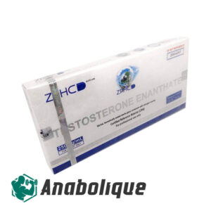 Testosterone Enanthate (ZPHC) 250 mg/ml