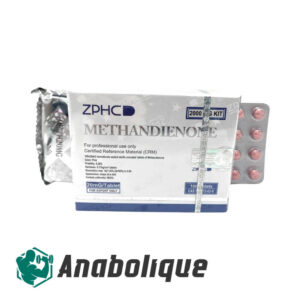 Methandienone (ZPHC) 20 mg